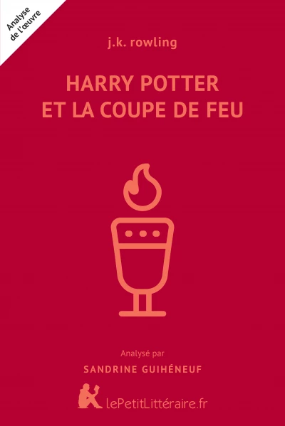 Analyse du livre :  Harry Potter et la Coupe de Feu